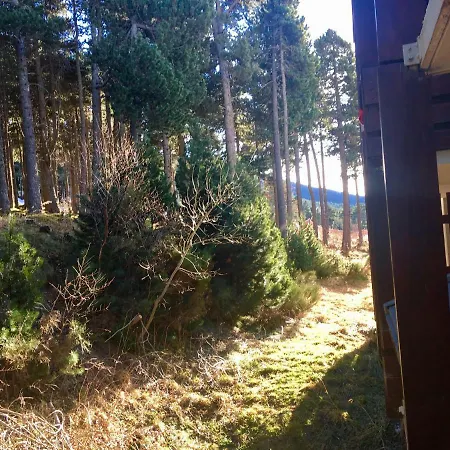 28 Les Lupins Appartement Eyne
